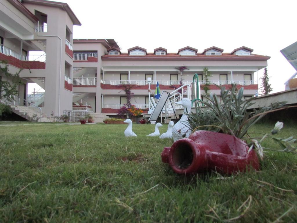 Dalyan Palmiye Resort Hotel Extérieur photo