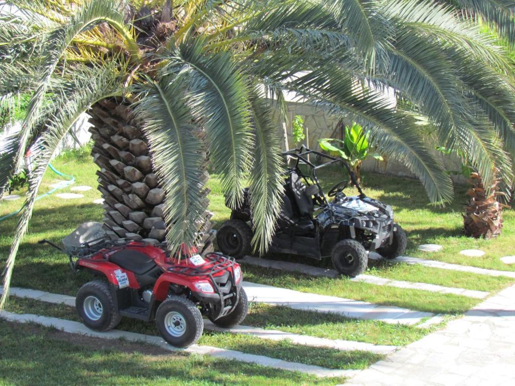 Dalyan Palmiye Resort Hotel Extérieur photo
