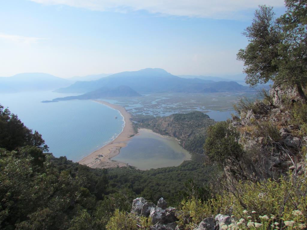 Dalyan Palmiye Resort Hotel Extérieur photo