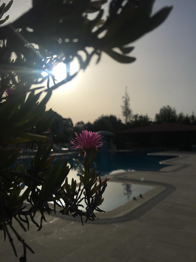 Dalyan Palmiye Resort Hotel Extérieur photo